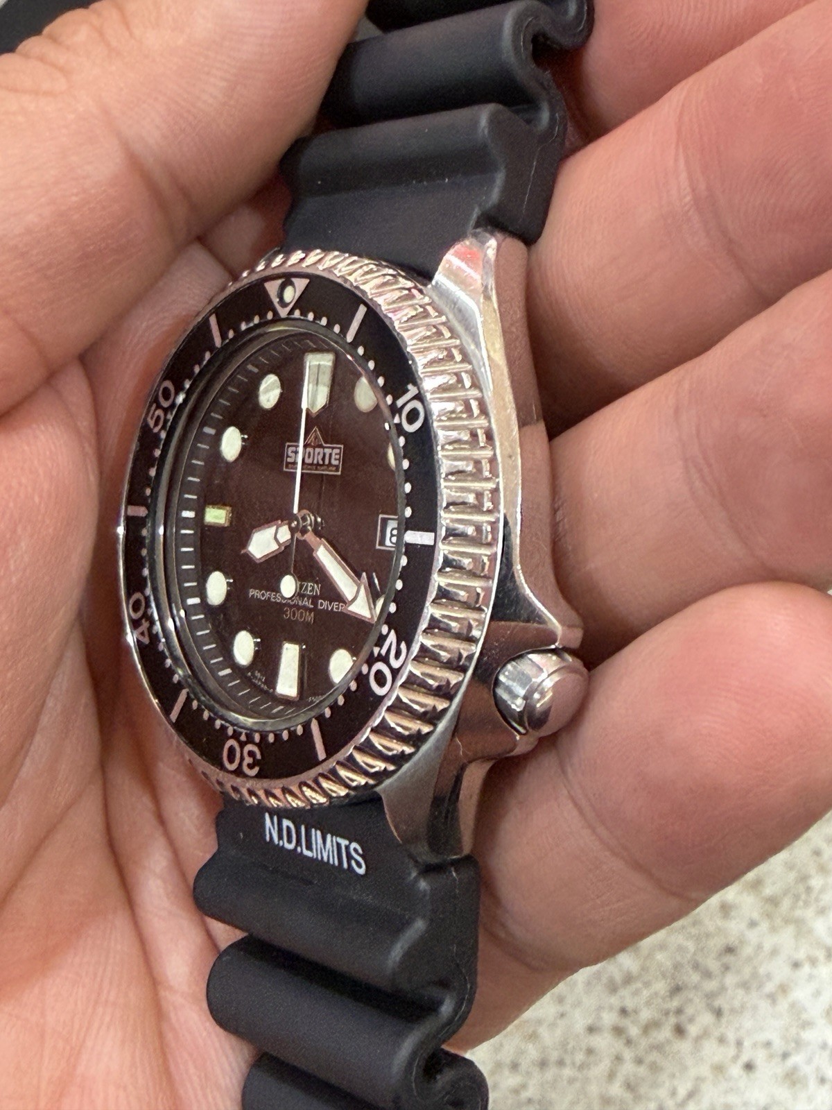 Citizen Professional Diver 300M Sporte