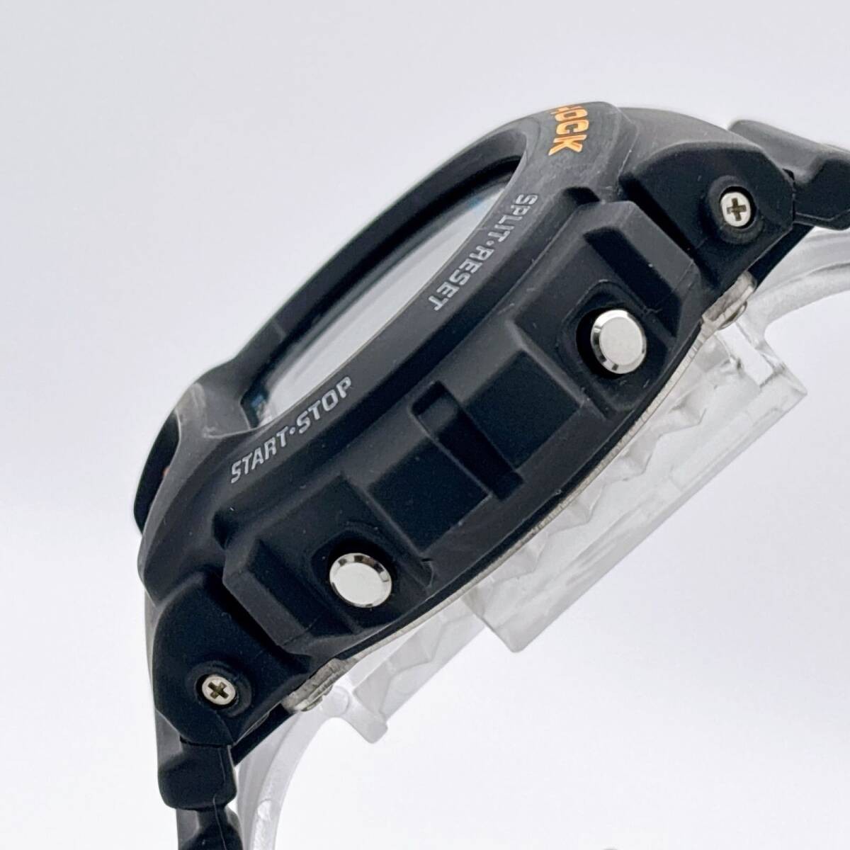 G-SHOCK DW-6600B Casio World Open Limited Edition Palm Tree Backlight