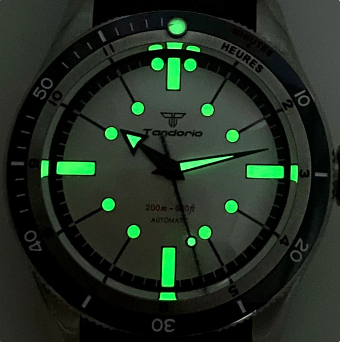 Red 40mm Miyota 8215 Automatic Diver Men Watch 20ATM Waterproof Domed Sapphire