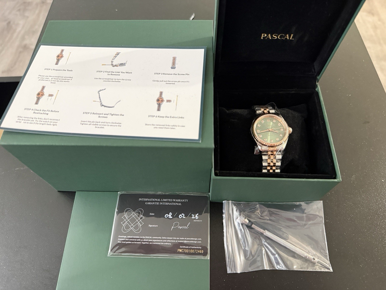 PASCAL Timeless Classic Diamond Watch for Men Women 31mm