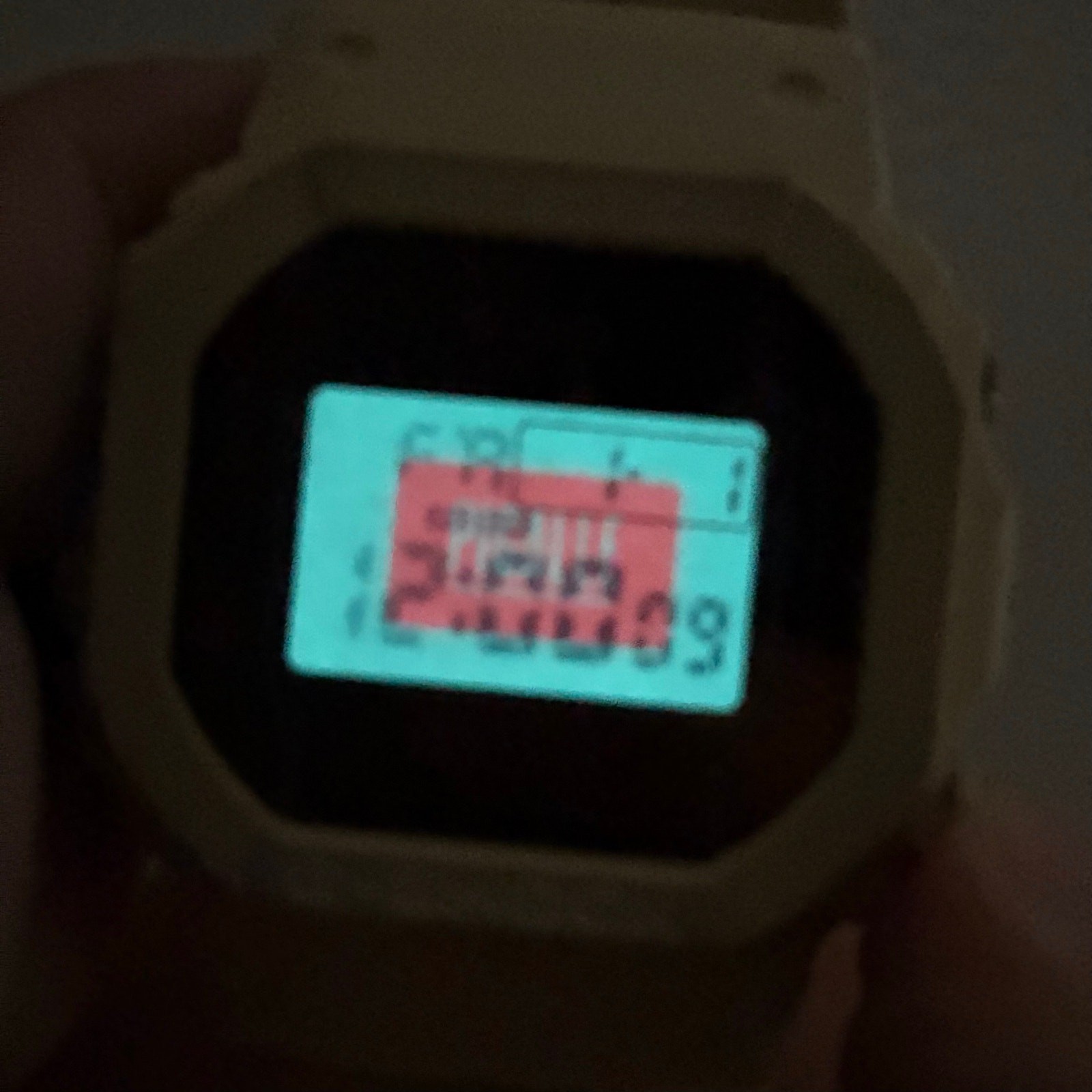 2017 Pigalle x Casio G-Shock DW-5600 DW-5600PGW-7ER