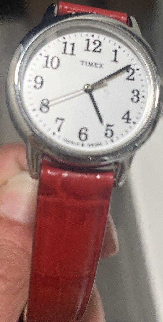 Timex Ladies Easy Reader Quartz 30mm Watch – TW2P68700 NEW