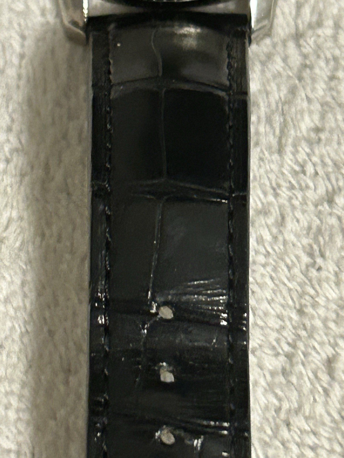 Gucci Eryx GMT Automatic Men’s Watch/snake