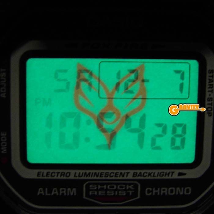 DW 5600 CASIO G SHOCK BUMP OF CHICKEN WILLPOLIS2014 G SHOCK Limited Edition