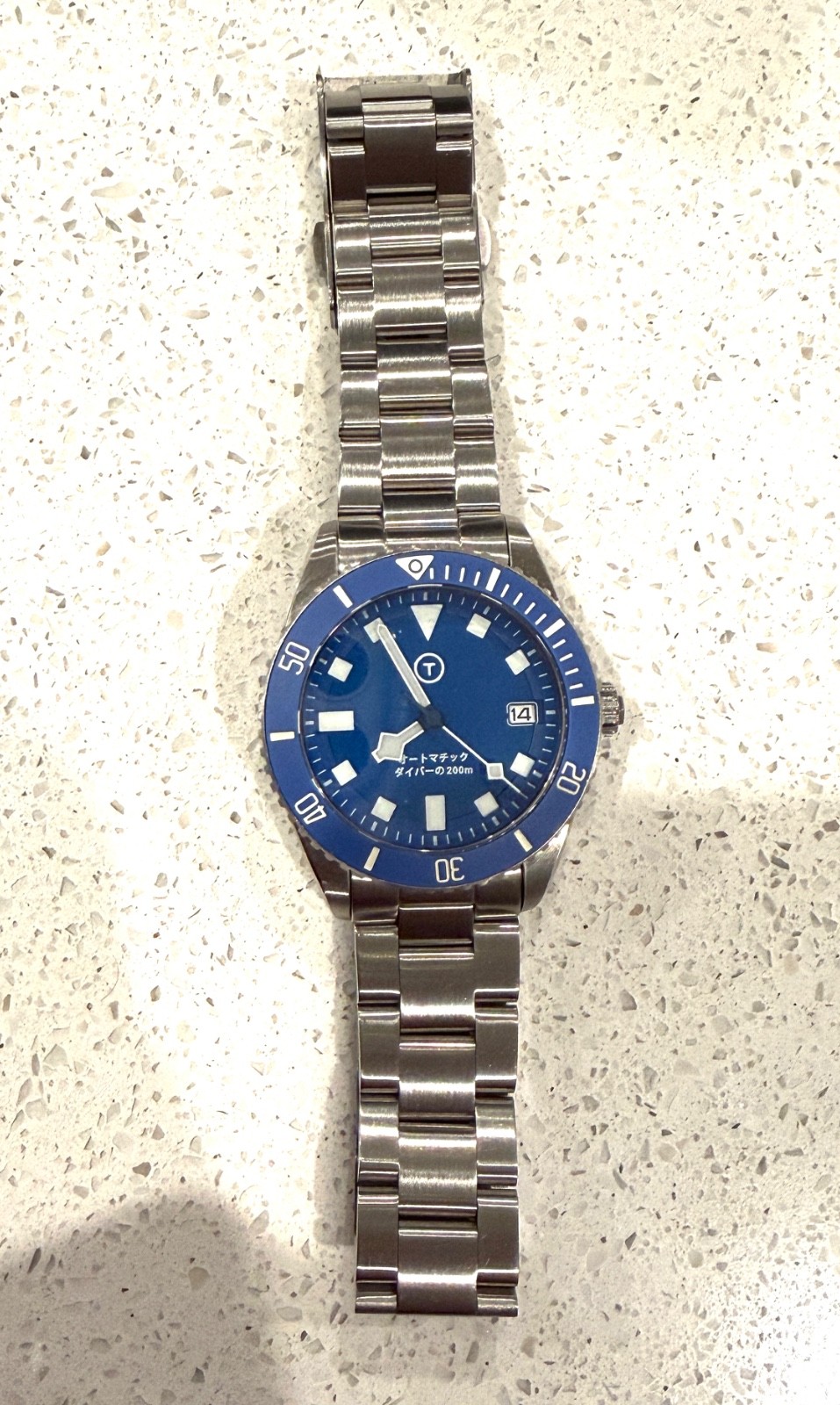 Blue Date BGW9 Snow Flake PD Modded 40mm Diver Watch 200m “PLGS Style”
