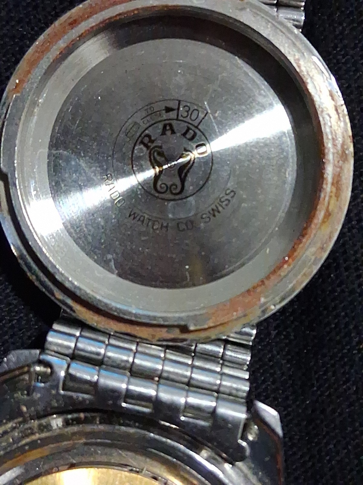 RADO Golden Horse Automatic Watch