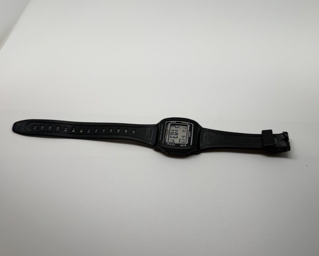 Casio W201-1BV, 10 Year Battery,Chronograph Watch, Grey Resin,Alarm,Illuminator