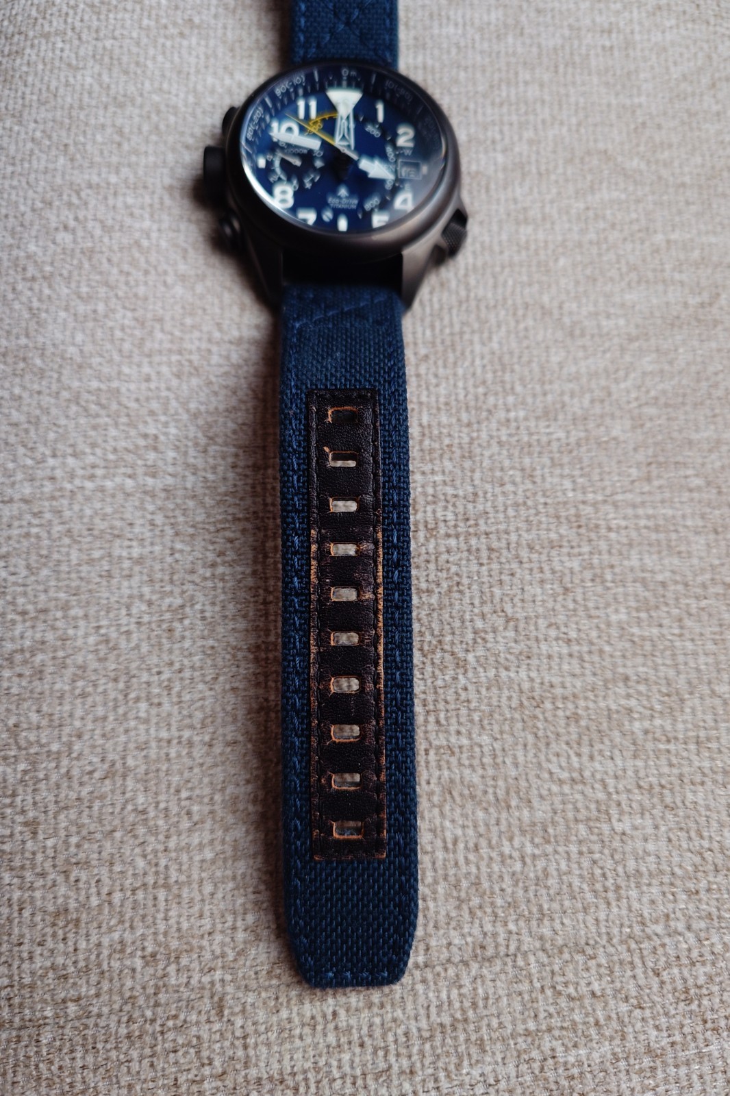 Citizen Promaster Altichron BN4065-07L Titanium