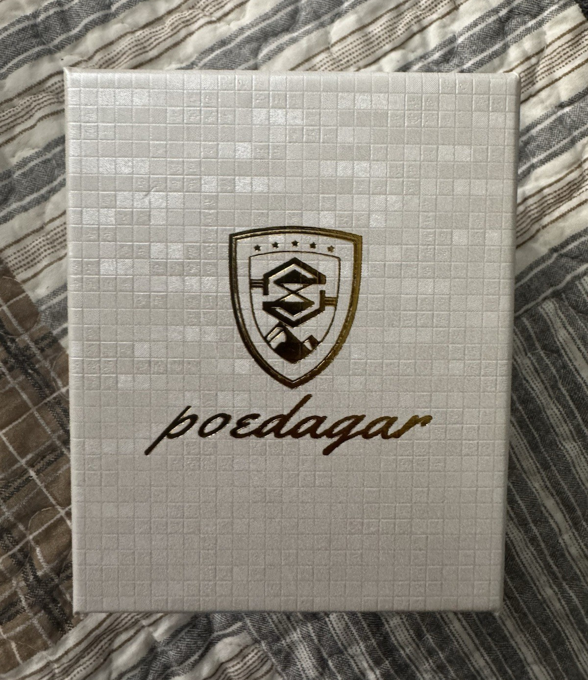 Poedagar Luolingyue Men’s Automatic Gray Dial Date 40mm Silver Bracelet w/ Box
