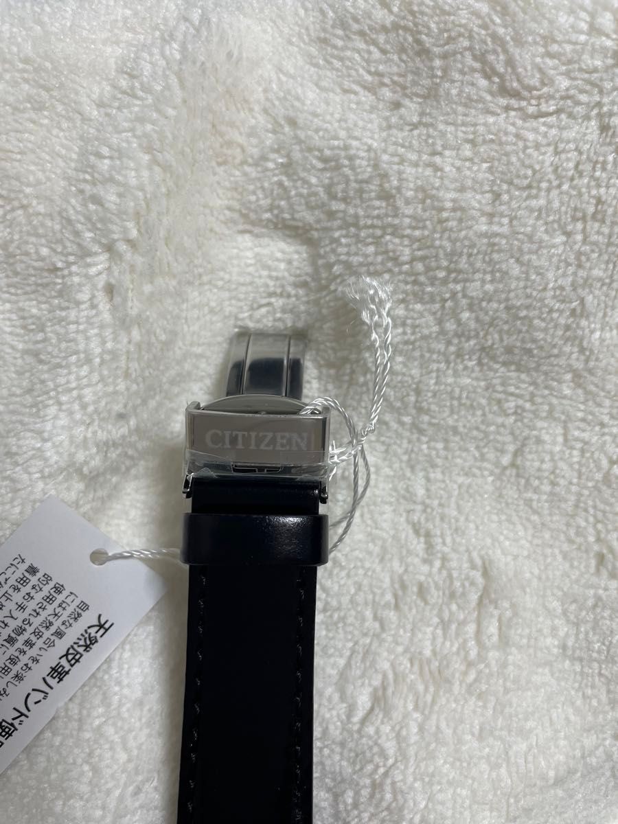 Item CITIZEN Automatic NB1060 04A Silver Leaf Lacquer Dial Model