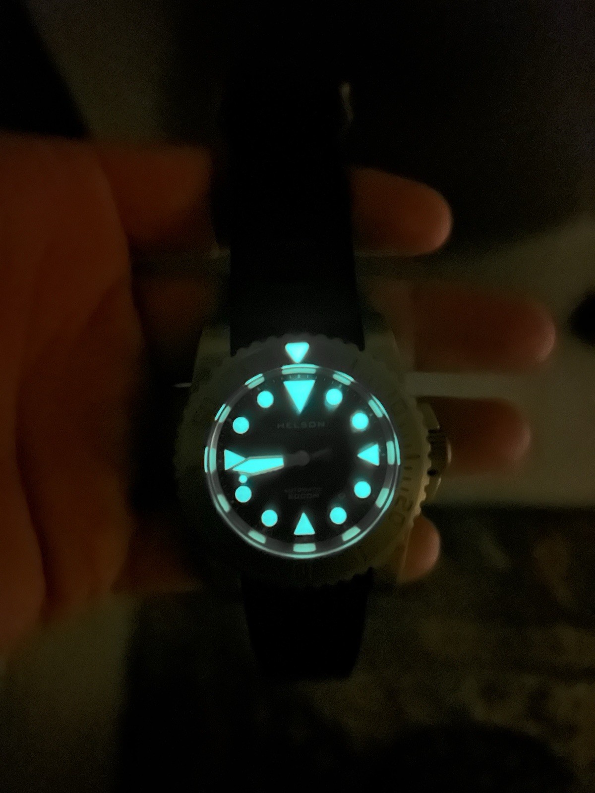 Helson Shark Diver Bronze 2000M | ETA 2824-2 | FULL KIT | RARE | 45MM