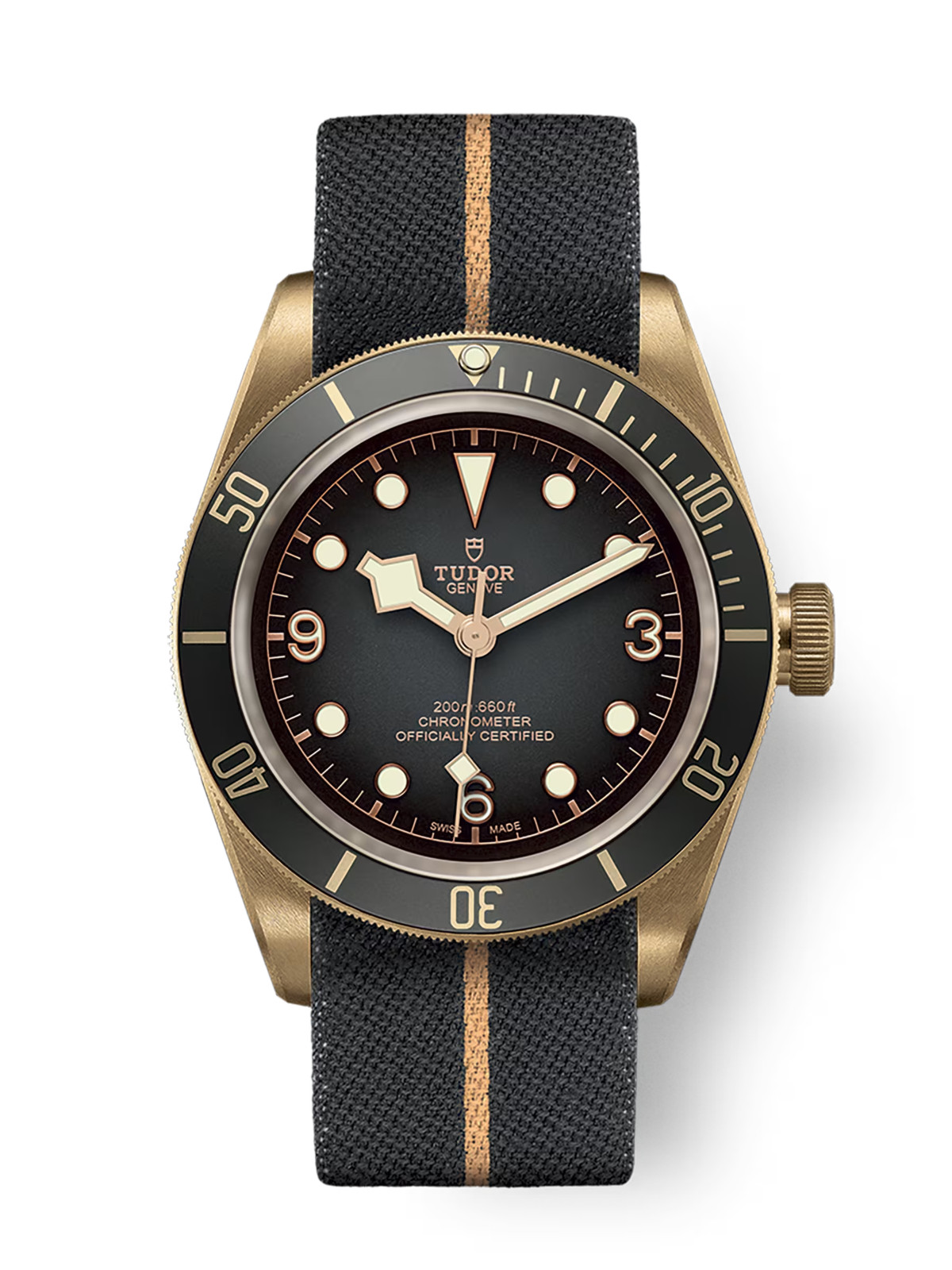 Tudor Black Bay Bronze 43mm Slate Gray Dial Watch M79250BA-0002
