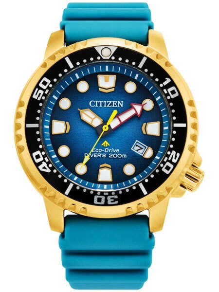 CITIZEN Watch PROMASTER Promaster Eco Drive Diver 200m BN0162 02X
