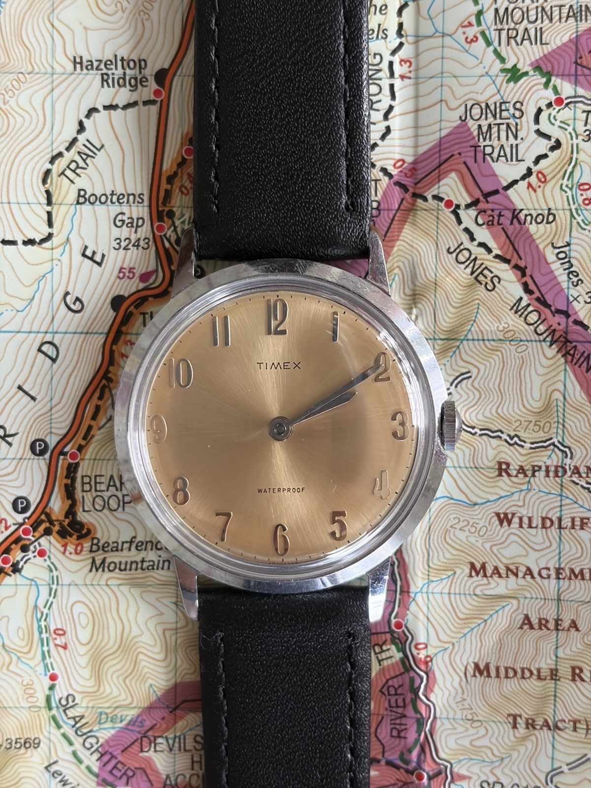Timex Vintage Marlin Manual Wind Arabic Black Leather Strap 34mm