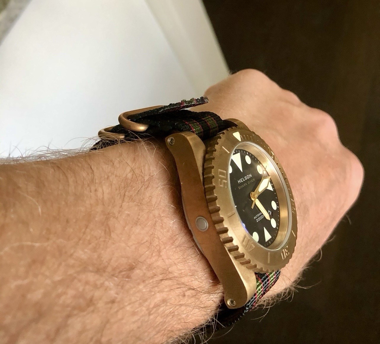 Helson Shark Diver Bronze 2000M | ETA 2824-2 | FULL KIT | RARE | 45MM