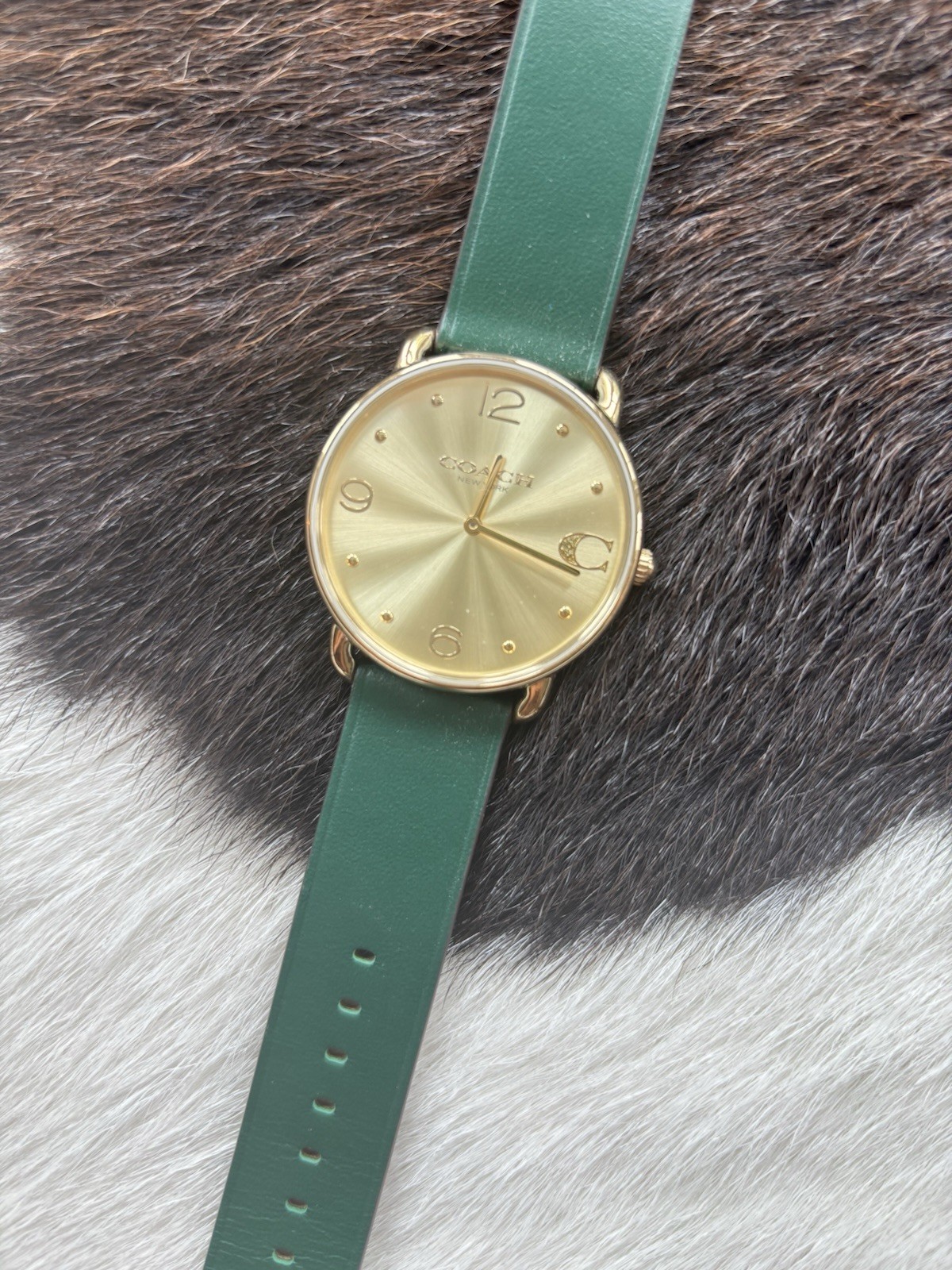 COACH New York Women’s Quartz Analog Watch Gold Dial/Case Green Leather 28mm