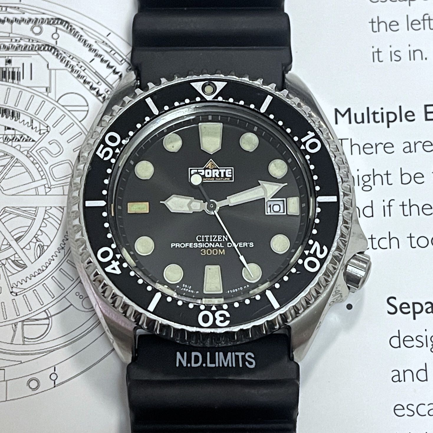 Citizen Professional Diver 300M Sporte