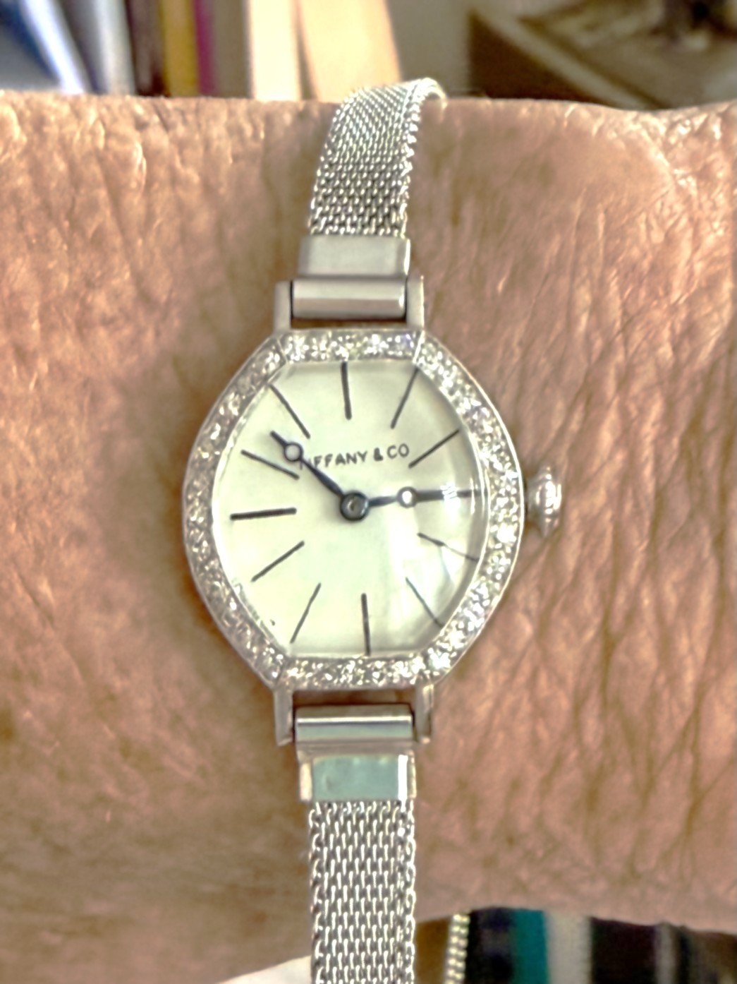 Antique Tiffany & Co. Platinum Ladies Wristwatch • Diamond Bezel • Original Mesh