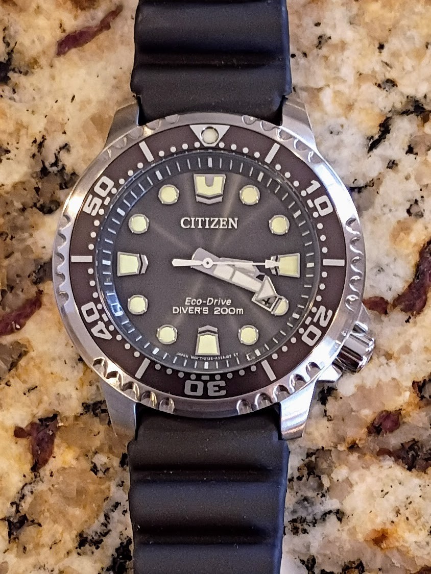 New Citizen Promaster Dive 44mm Gray Dial Eco-Drive BN0167-50H
