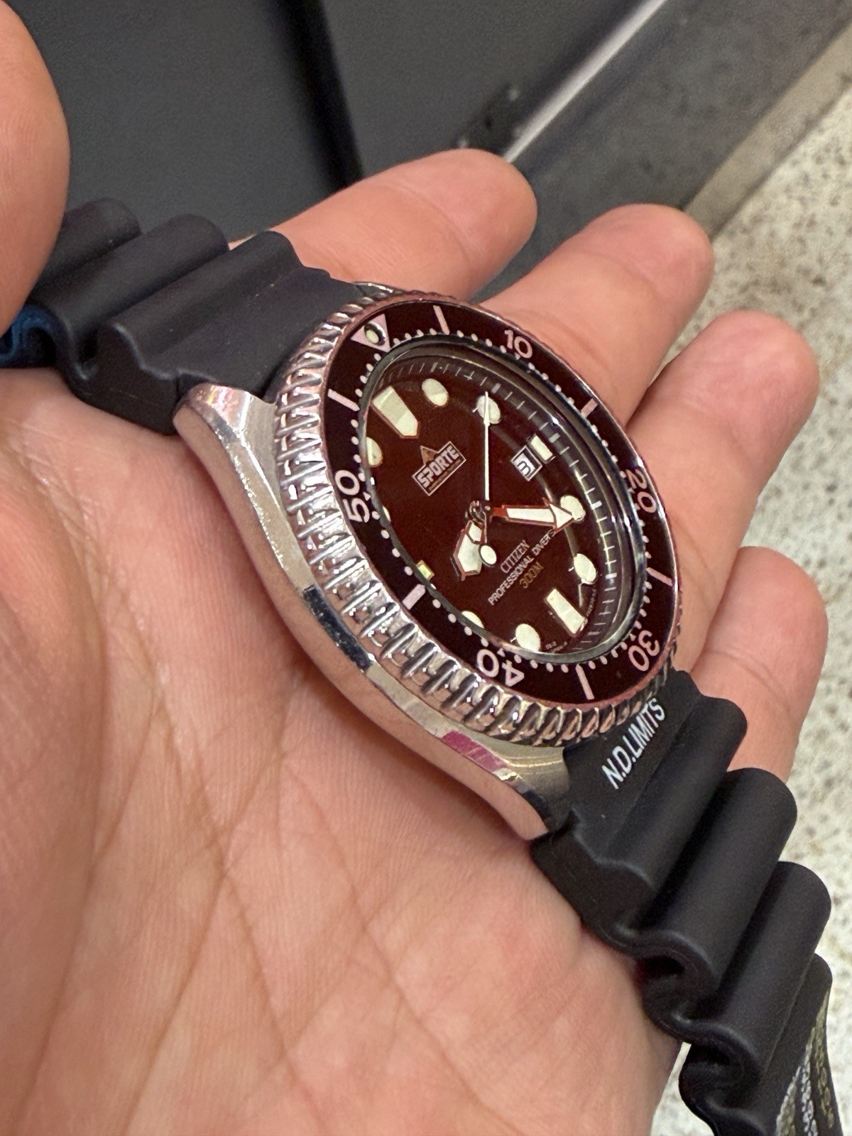 Citizen Professional Diver 300M Sporte