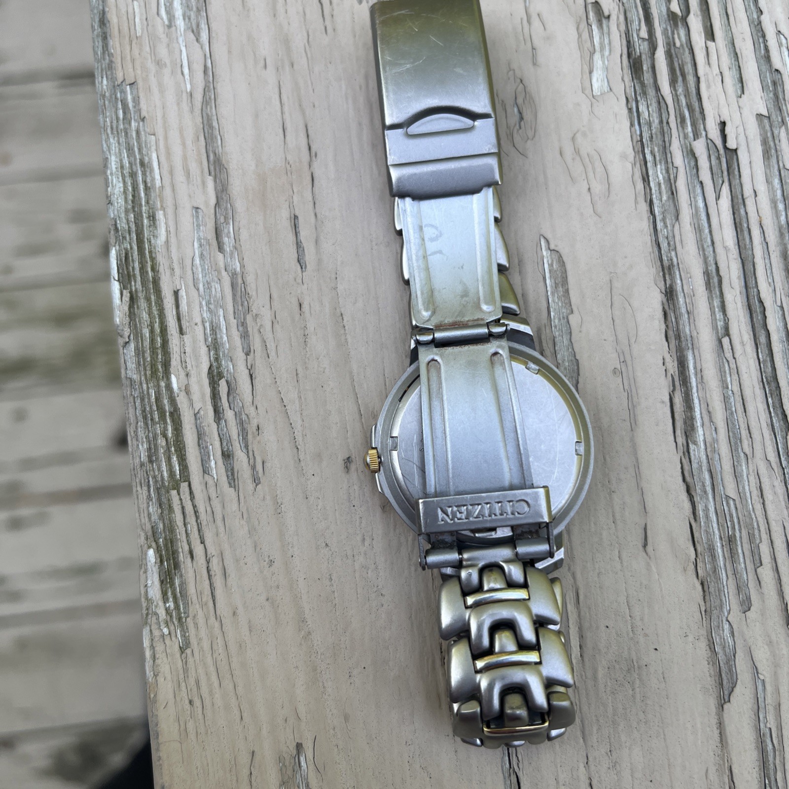 Citizen Titanium WR 100