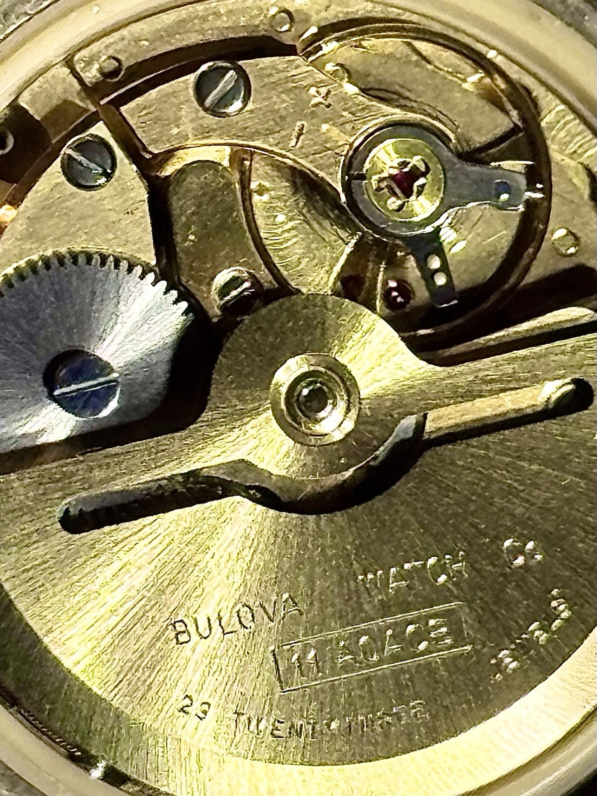 1972 Bulova Sea King Automatic – 23J Whale Burgundy Dial (President E) Running