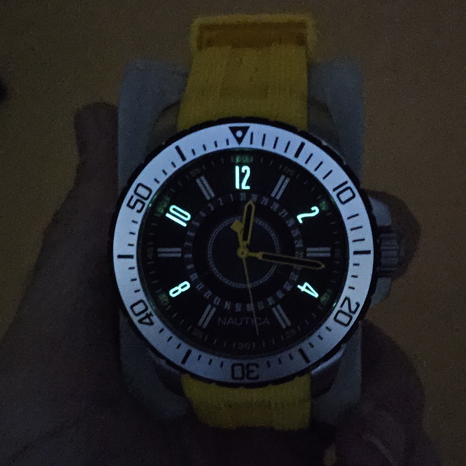 Nautica NST 15 N14663G Mens Dive Watch w/ Date Indicator New Battery