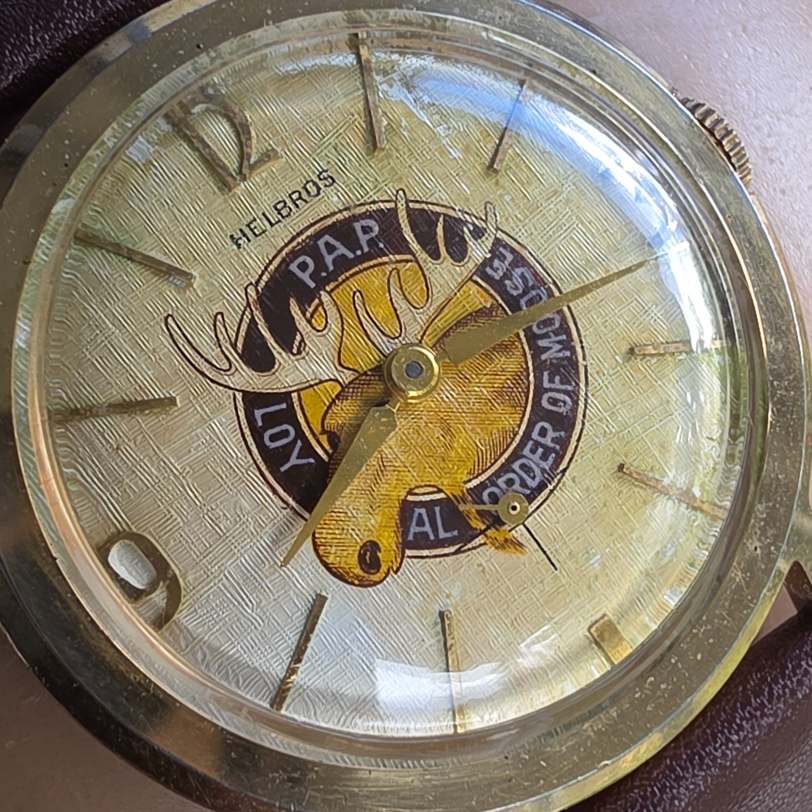 Vintage Helbros men’s manual wind watch Loyal Order of Moose linen dal 1950s
