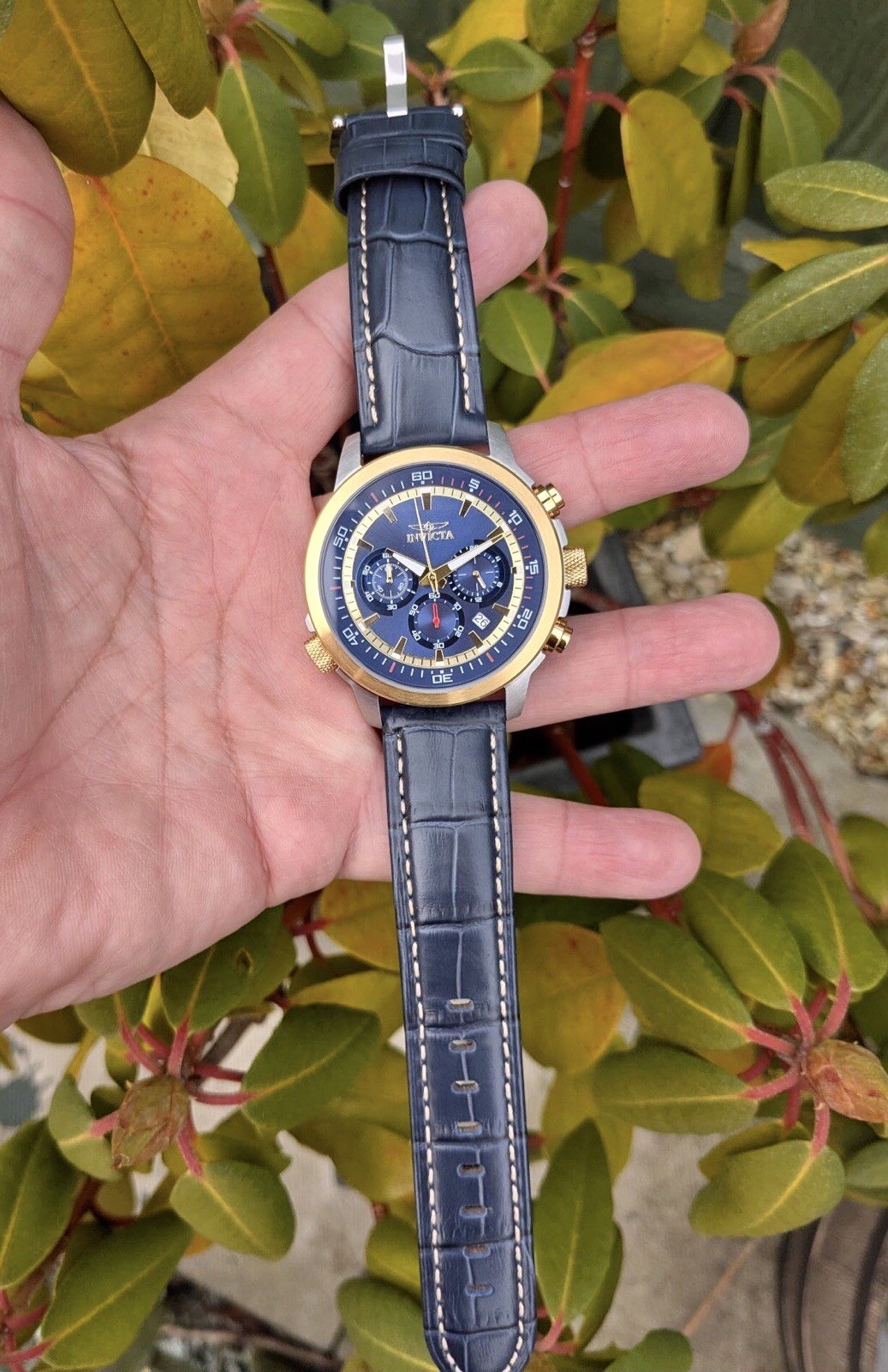 INVICTA SPECIALTY CHRONO-INNER ROTATING BEZEL+EXTRA LTHR STRAP & LINK TOOL OPTN
