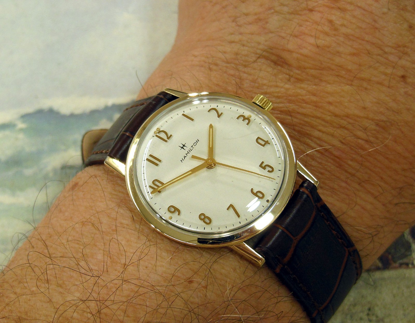 1960’s Vintage HAMILTON Manual Wind , Stunning Dial, Serviced with warranty
