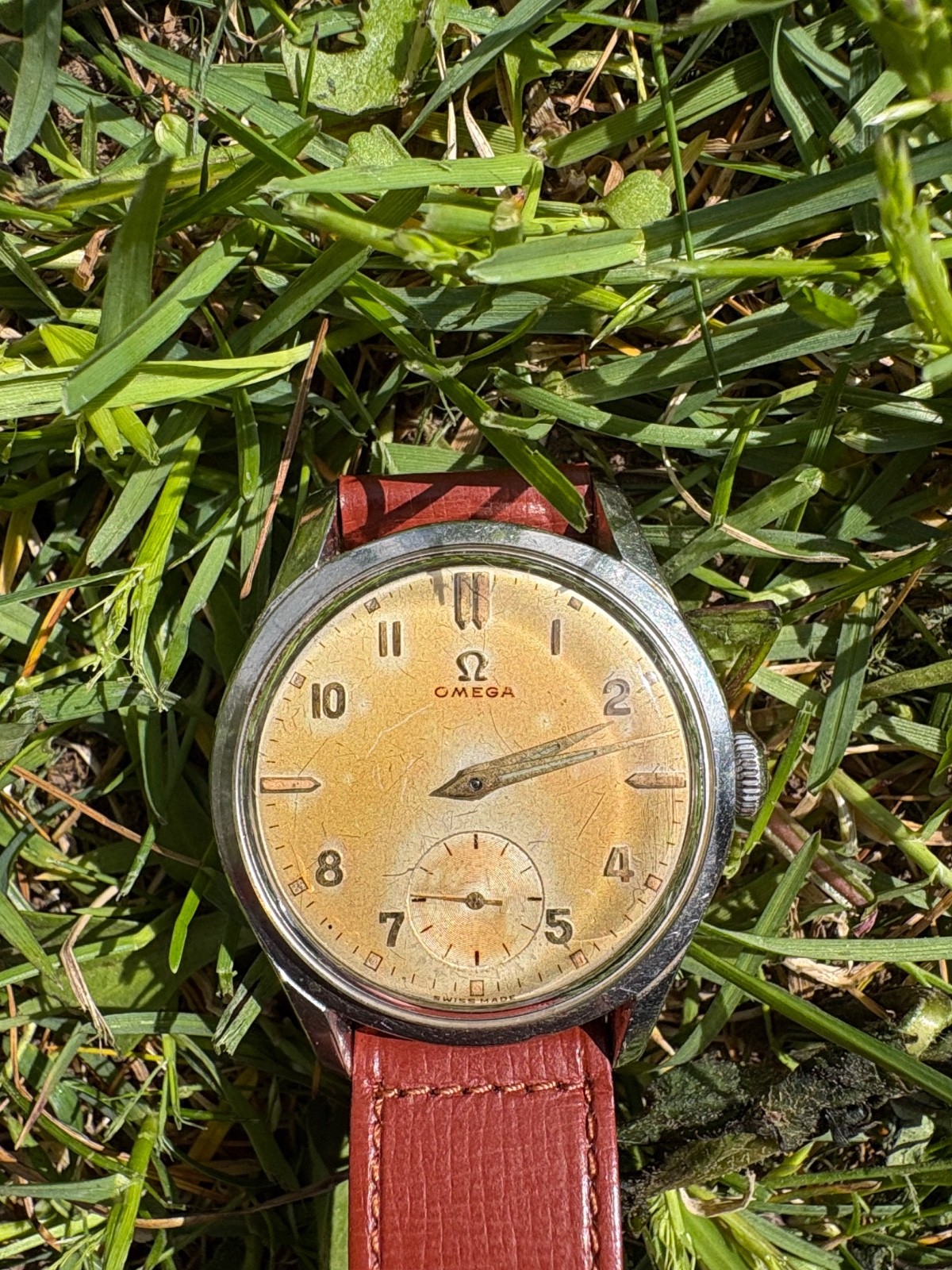omega 2791-6