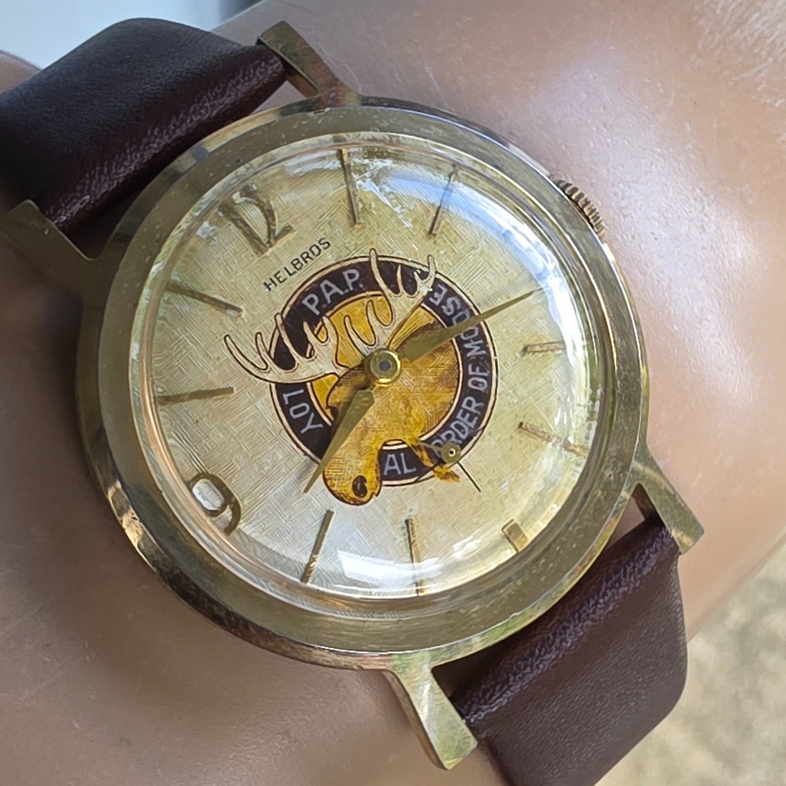 Vintage Helbros men’s manual wind watch Loyal Order of Moose linen dal 1950s