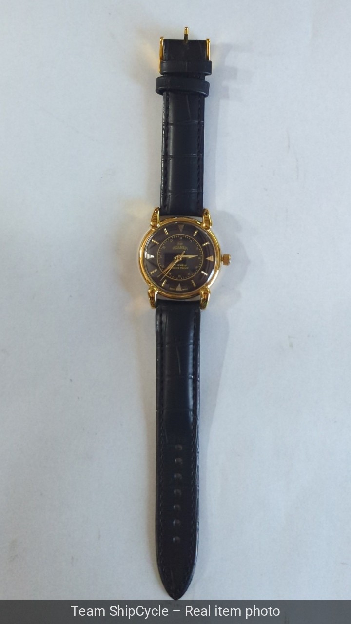 RW Roamer Wrist Watch