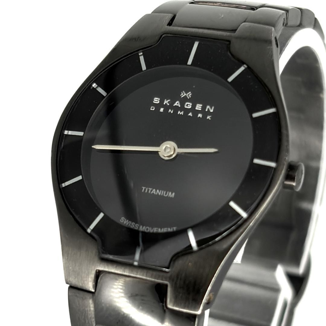 Skagen Black Label Ladies Titanium Watch Quartz Battery From Japan