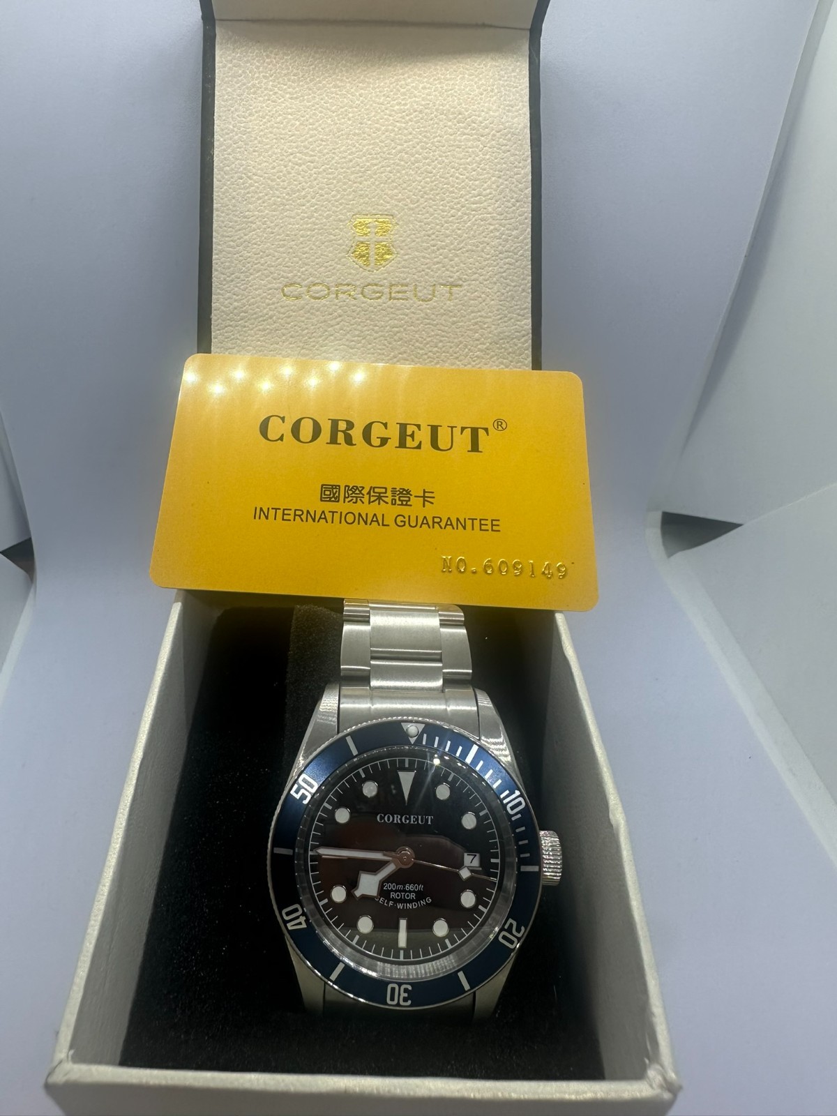 Corgeut 2010 Miyota 8215 41mm Sapphire Automatic 200M Diver Watch