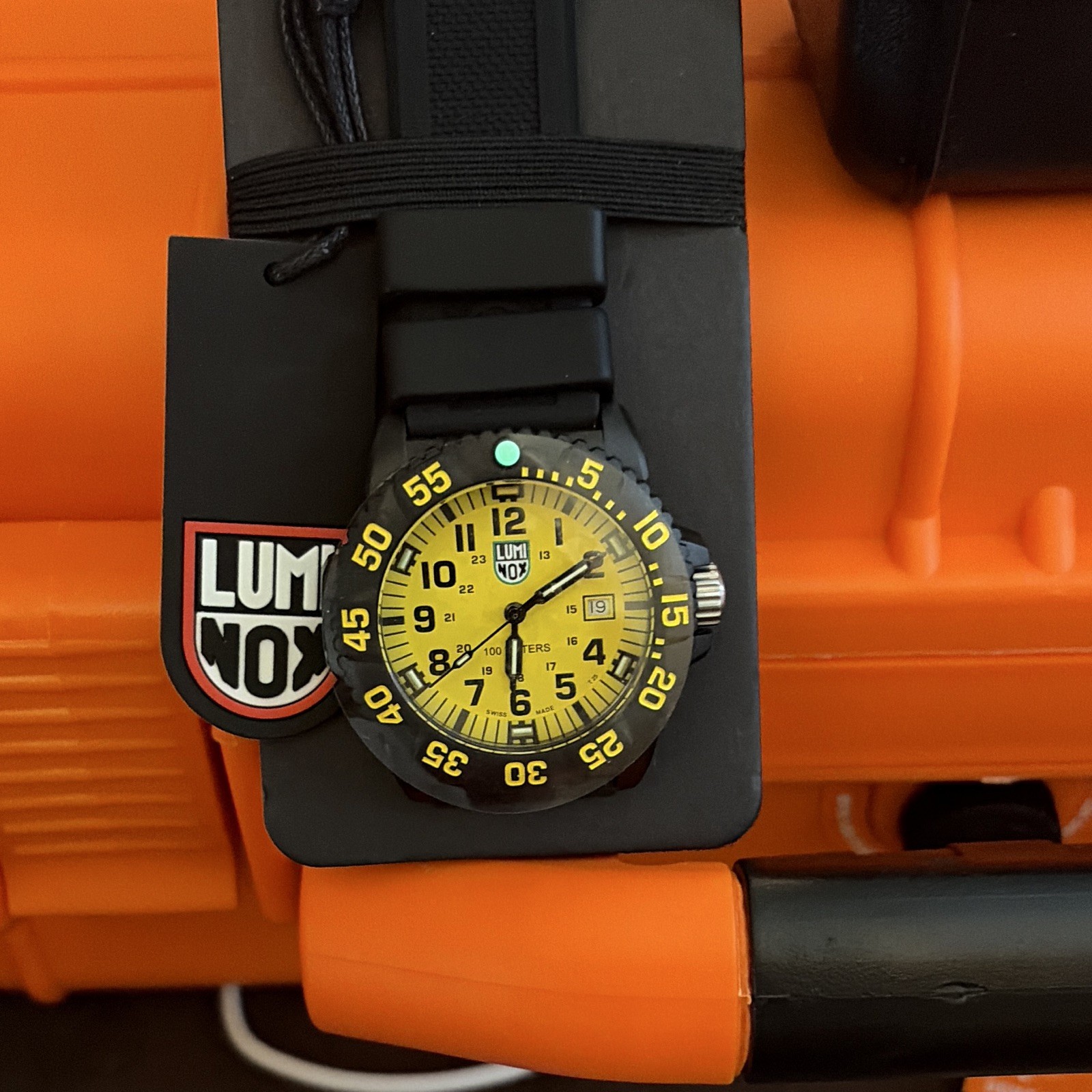 Luminox Leatherback Sea Turtle Men’s Quartz Analog 45mm WR 100m Box/Papers