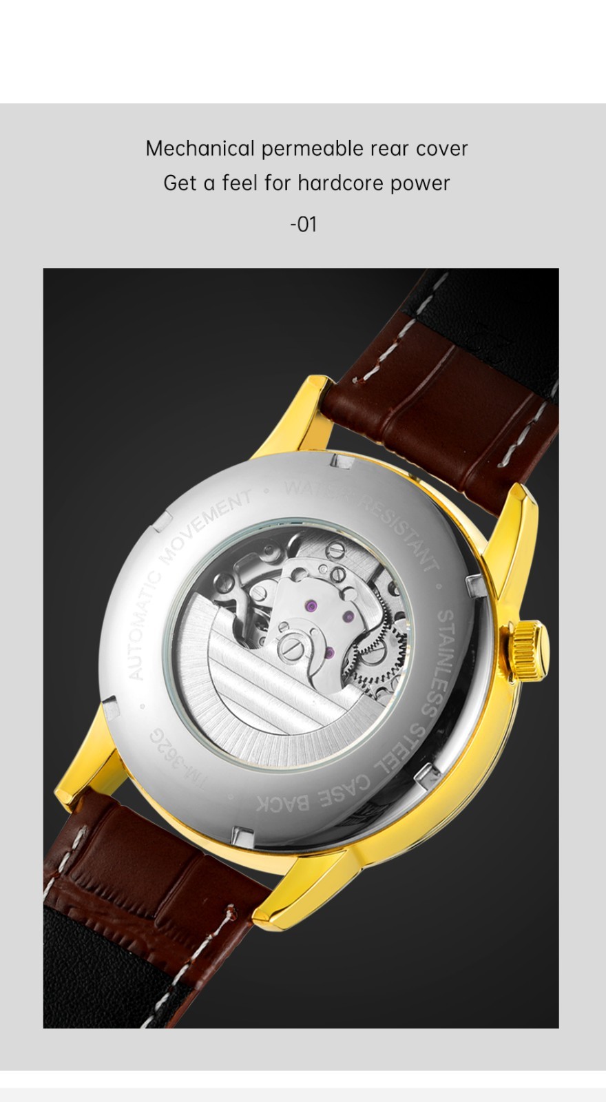 Forsining Mechanical Automatic Luxury Men’s Watch 3ATM Leather Strap