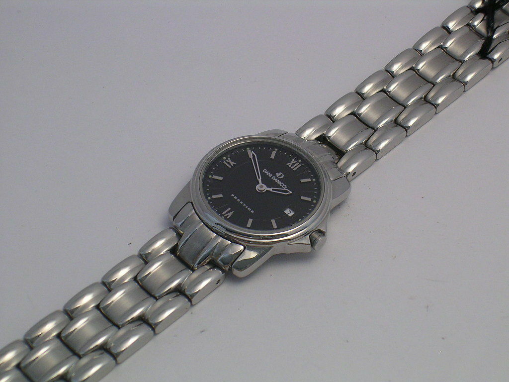 Stainless steel watch for woman Dani Danicci swiss womens 3 atm