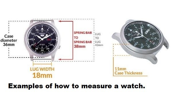 Eddie Bauer Men Watch 50m Stainless Brown Leather Light Date 24hr Gray Quartz