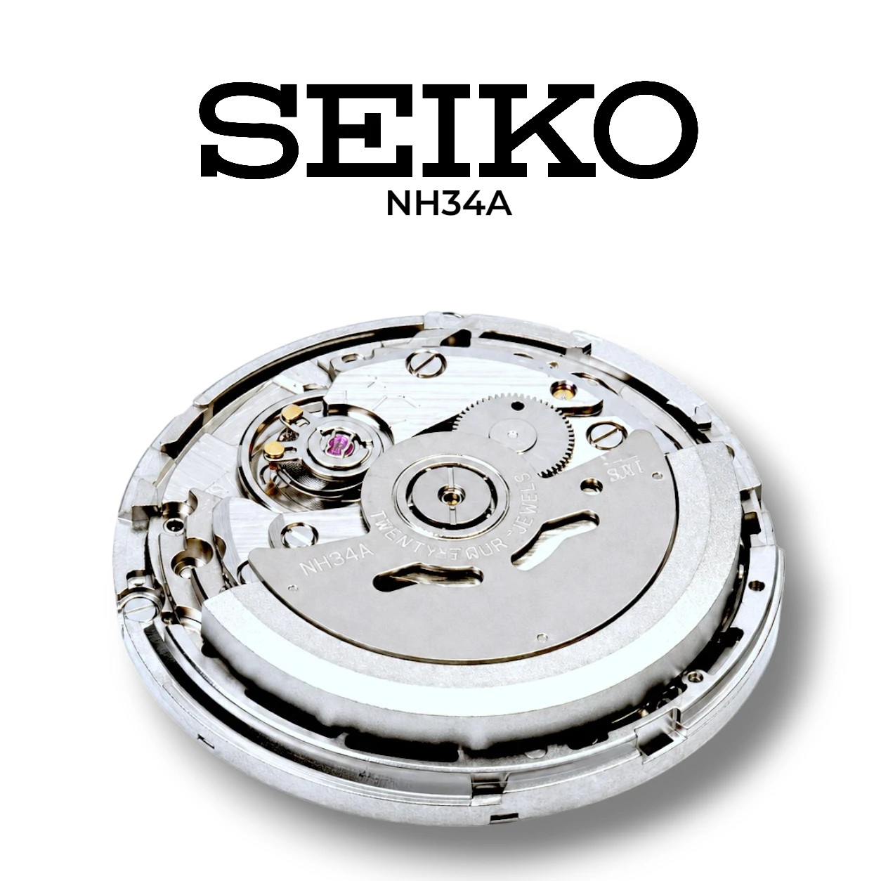 Phoenix Subtrack Monarch GMT 10ATM Automatic Watch with Seiko NH34 Movement