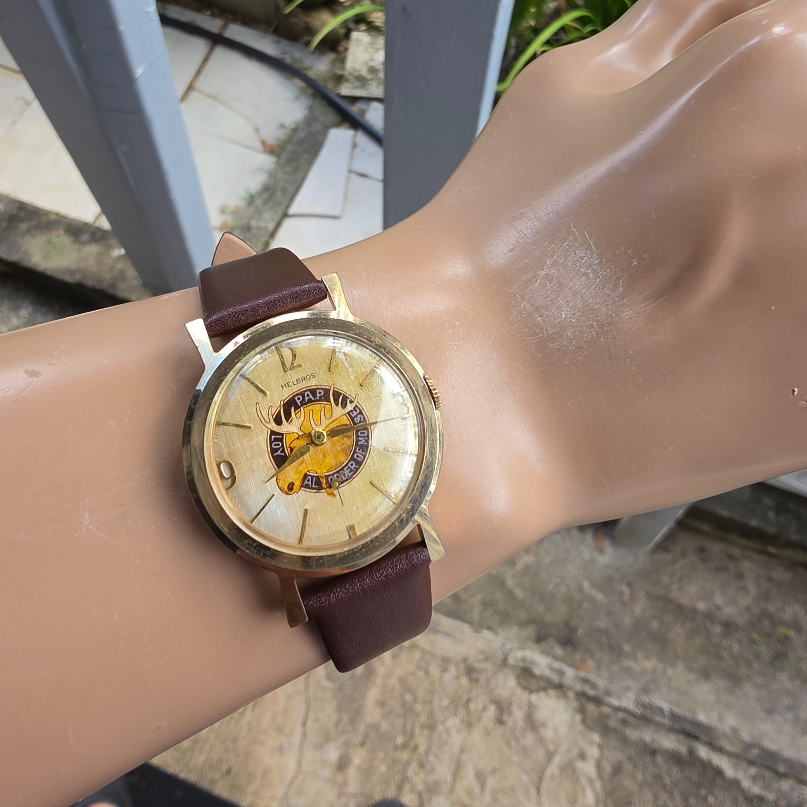 Vintage Helbros men’s manual wind watch Loyal Order of Moose linen dal 1950s
