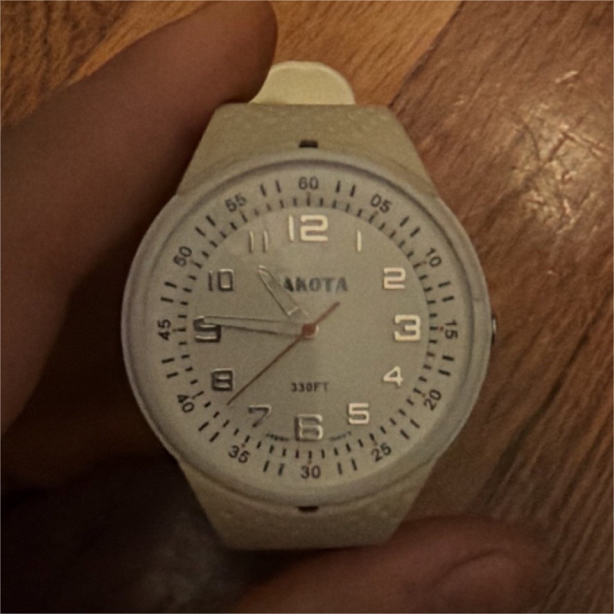 Dakota unisex analog wristwatch white rubber band plastic case casual round