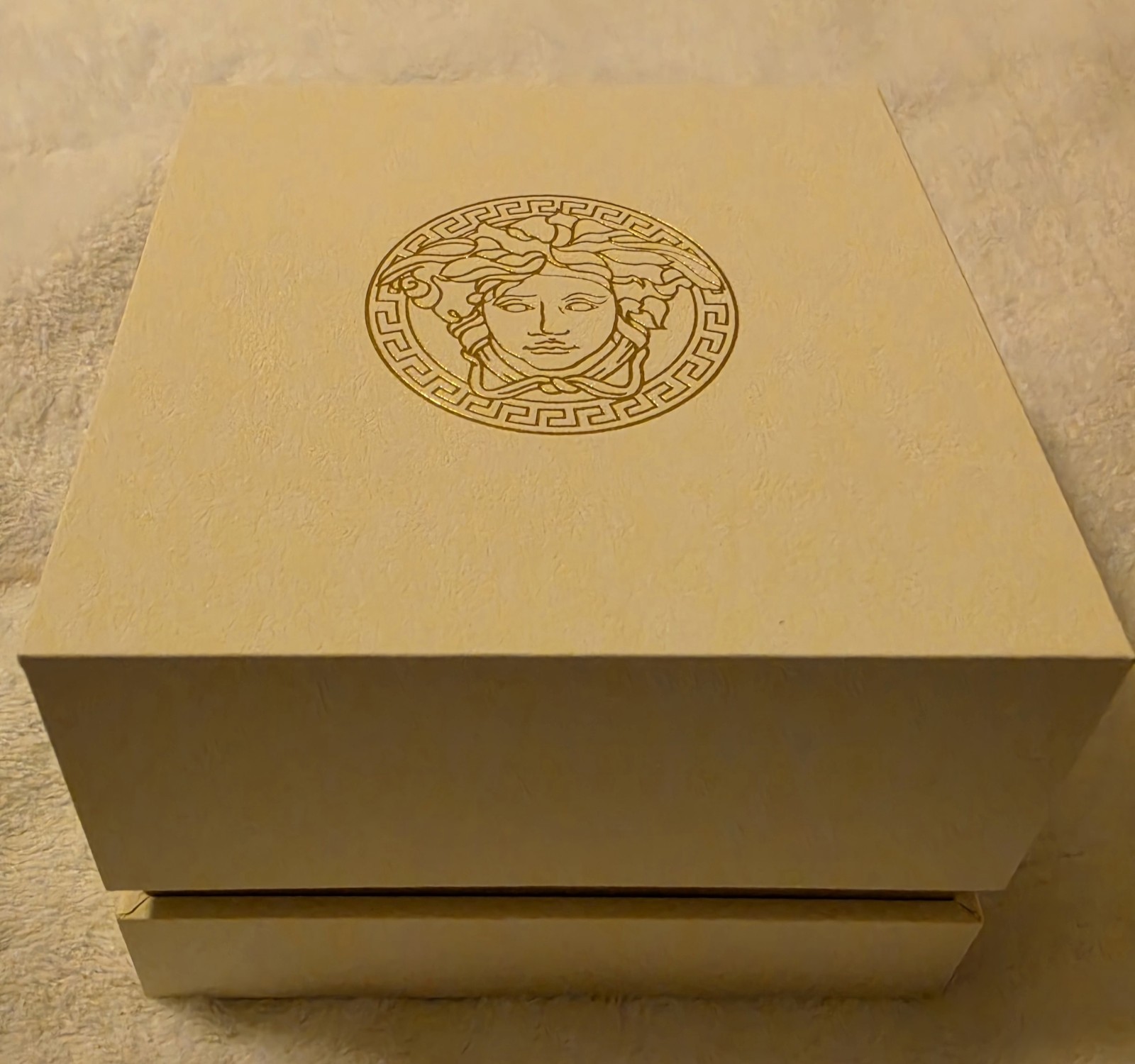 Versace MENS Watch VEVK00420