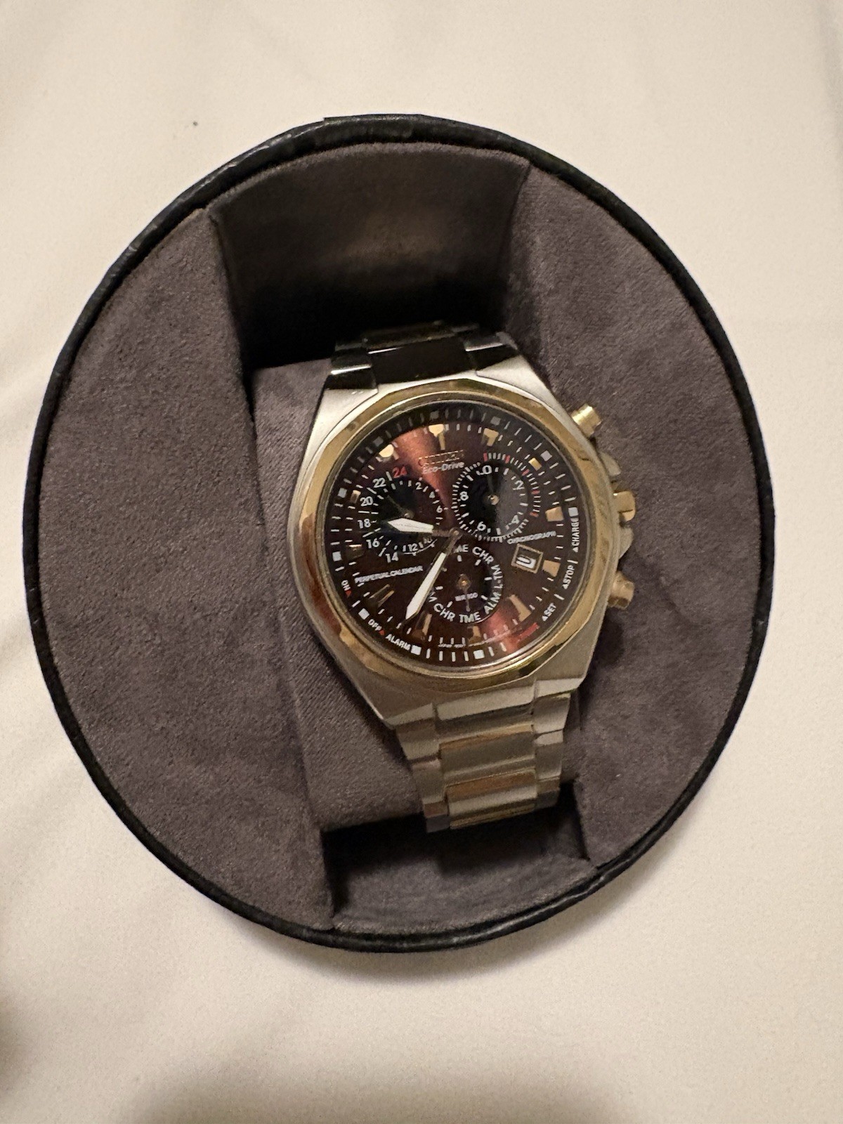Citizen Men’s Eco-Drive Perpetual