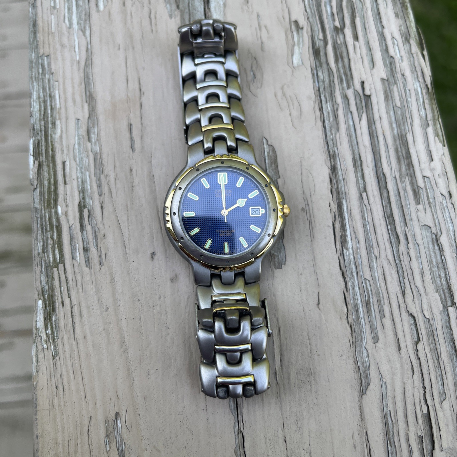 Citizen Titanium WR 100