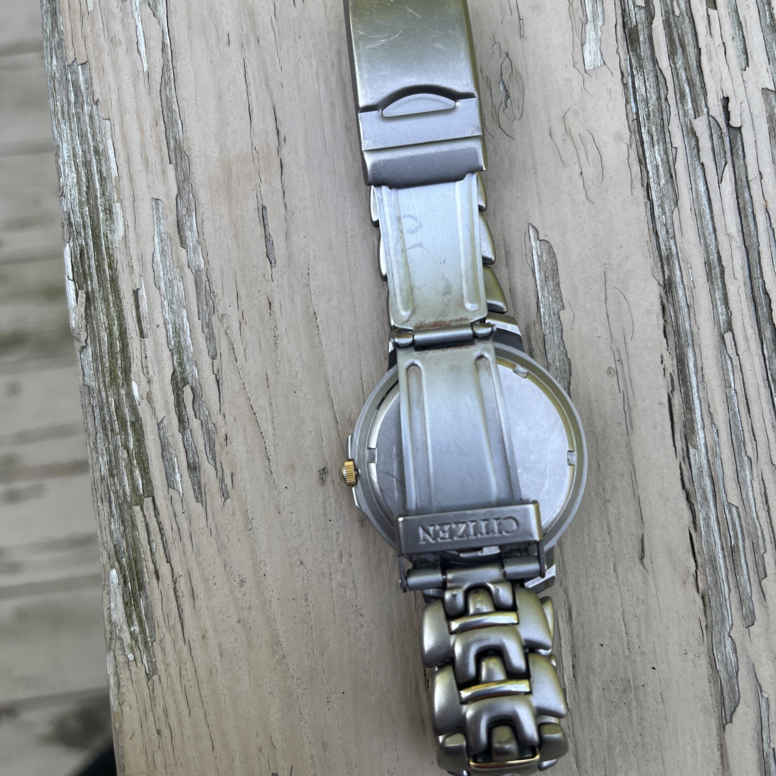 Citizen Titanium WR 100