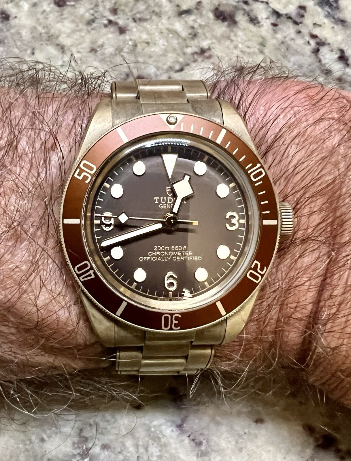 TUDOR Black Bay Bronze 39mm Boutique Edition Brown Dial/Bezel Auto Full Set