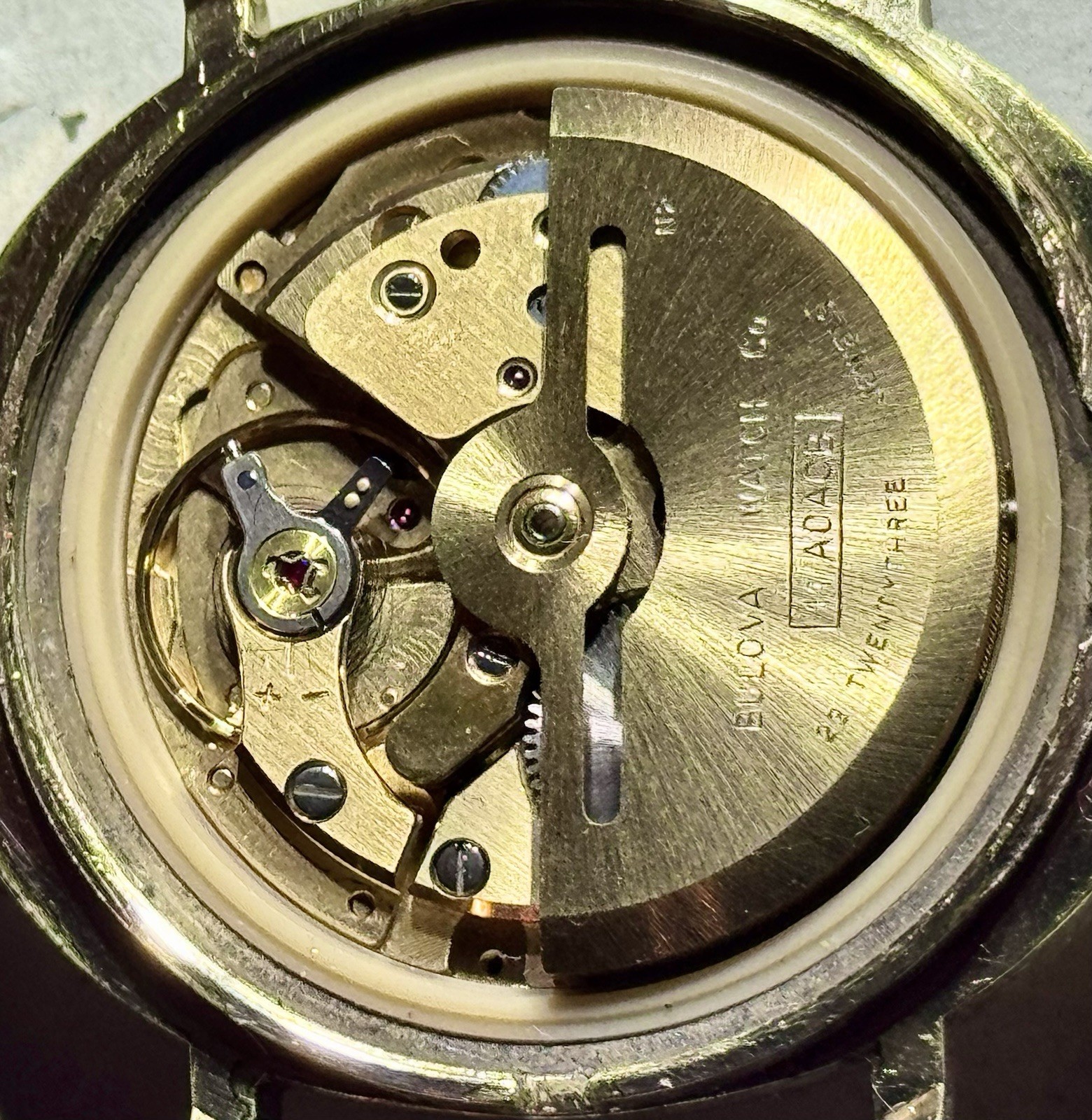 1972 Bulova Sea King Automatic – 23J Whale Burgundy Dial (President E) Running