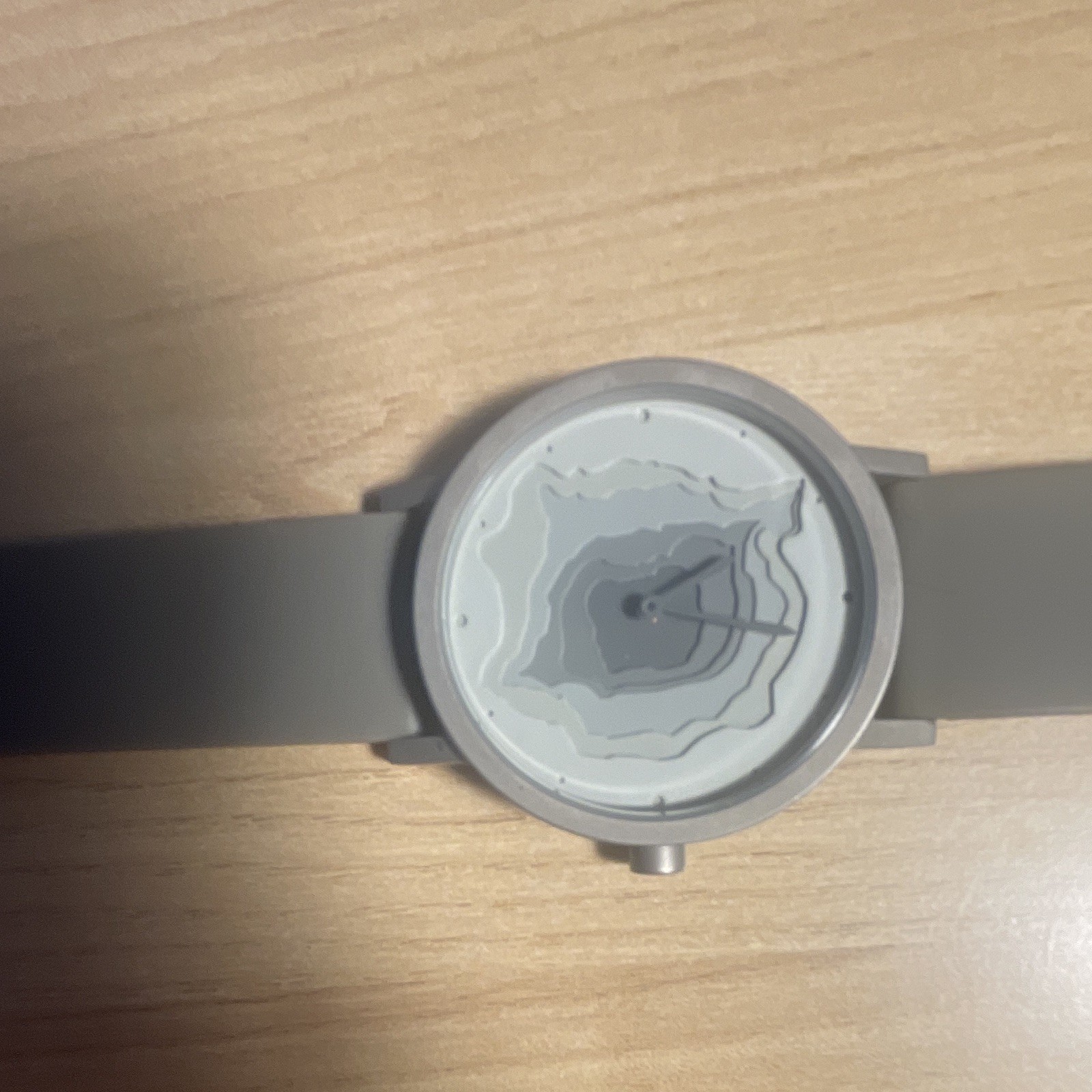 Unisex Casual Analog Wristwatch Gray Dial Round Silver Case Gray Strap