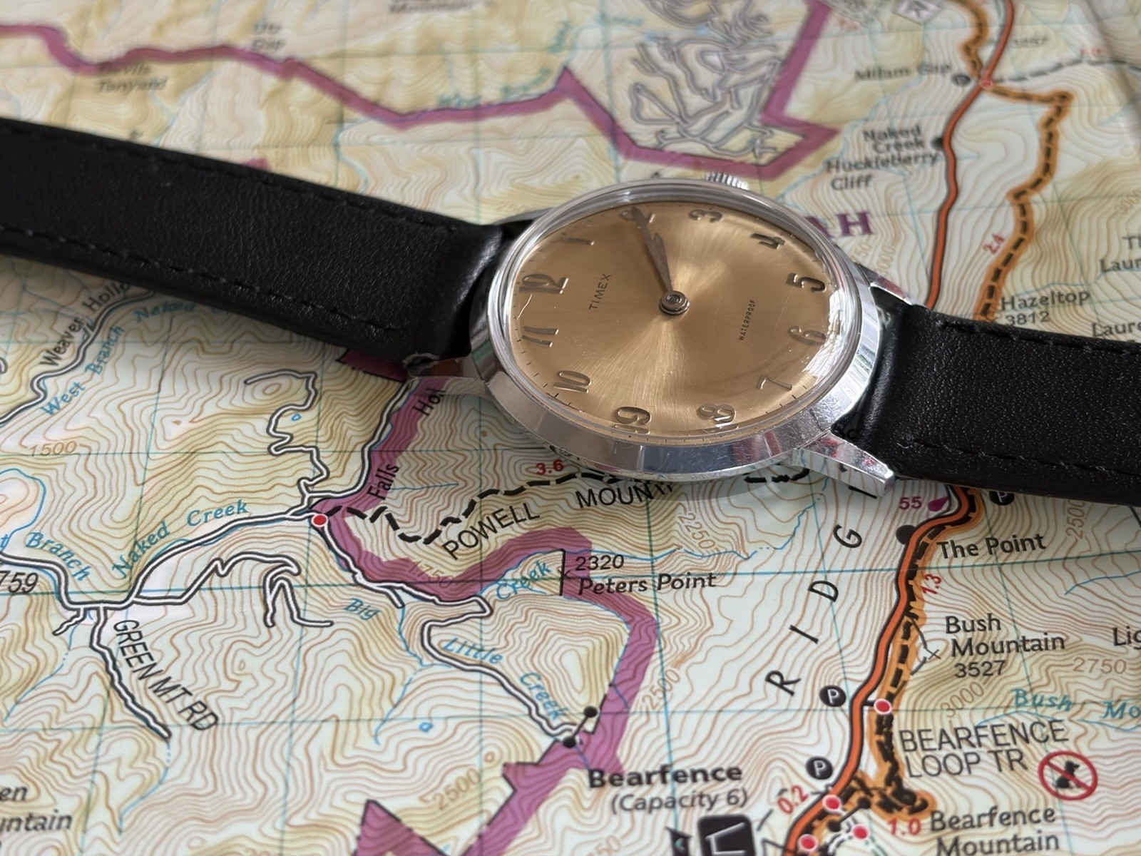 Timex Vintage Marlin Manual Wind Arabic Black Leather Strap 34mm